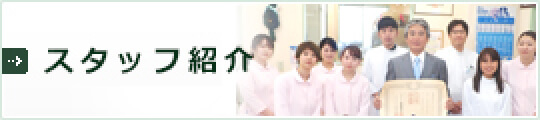 スタッフ紹介